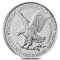 Silber 2022/2024/2023 USA One Dollar Silbermünze American Eagle 1 oz