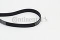CONTINENTAL CTAM 6PK1660 Keilrippenriemen für AUDI BMW CITROËN