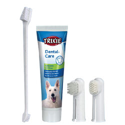 TRIXIE Zahnpflege-Set zum Zähneputzen Zahnbürsten Zahncreme Finger-Massagebürste
