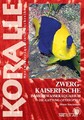 Zwergkaiserfische im Meerwasseraquarium Dieter Brockmann