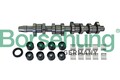 Borsehung B11307 Nockenwellensatz für Vw Audi Seat Skoda