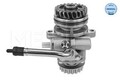 MEYLE 114 631 0033 Hydraulikpumpe, Lenkung für VW