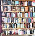 📚   20x  historische Romane - Sammlung  Hardcover Bücher Konvolut Buchpaket