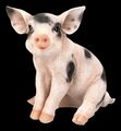 Schweine Figur - Geflecktes Ferkel - Schwein sitzend Dekofigur Tierfigur 23cm