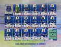 Adrenalyn XL Premier League Panini 2023/24 Full Everton Team Set alle 18 Karten