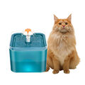 2L Haustier Trinkbrunnen Katzen Hunde Wasserspender Automatisch mit LDE Licht
