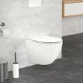 Spülrandloses Wand Hänge WC Softclose Tiefspüler Nano-Beschichtung Toilette kurz