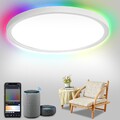 24W Smart LED Deckenleuchte Küchenlampe RGB dimmbar 2040LM IP44 Schlafzimmer