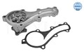 MEYLE 36-13 220 0005 Wasserpumpe passend für NISSAN