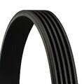 CONTINENTAL CTAM Keilrippenriemen  u.a. für BMW, FIAT, LANCIA, MITSUBISHI