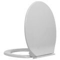 Toilettensitz Absenkautomatik WC Sitz Soft-Close Toilettendeckel mehrere Auswahl