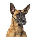 Maulkorb Gummi schwarz/rot für Hunde Welpen Bissschutz Training
