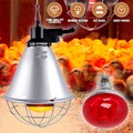 Rotlichtlampe E27 Wärmelampe Wärmestrahler Heizlampe Infrarotlampe Ferkellampe