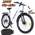 36V/17.5Ah e bike 100km Elektrofahrrad City e bike Damen/Herren Cityräder 29zoll