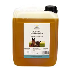 Leinöl für Pferde 5 Liter | direkt aus der Ölmühle Godenstedt - kurze Wegenachhaltig, mit Öko-Strom in Niedersachsen hergestellt