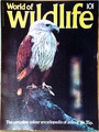 WORLD OF WILDLIFE Nr. 101 AMPHIBIEN Mangrovensumpf BRAHMINY KITE Orbis 1977