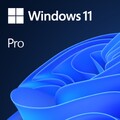 Microsoft Windows 11 Pro OEM Original Equipment Manufacturer OEM Englisch 1 Lizenz