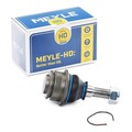 MEYLE 116 010 7192/HD Traggelenk oben Vorne Links Vorne Rechts