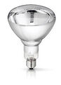 Wärmelampe Wärmestrahler Infrarotlampe klar (250 Watt) 99051