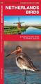 James Kavanagh (u. a.) | Netherlands Birds | Broschüre | Englisch (2020)