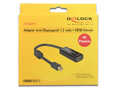 62613 Delock 4K Passive Videoanschluß DisplayPort / HDMI Mini (M) ~D~