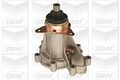 GRAF Wasserpumpe Motorkühlung PA446 für W124 124 KLASSE S124 190 MERCEDES W201