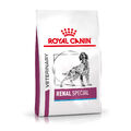 Royal Canin Renal Special 2 kg | Trockenfutter für Hunde | Nierenfunktion 