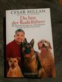 Cesar Milan Du bist der Rudelführer