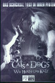 Neues Filmprogramm Nr. 10799 Cats & Dogs Wie Hund Und Katz (04 Seiten)