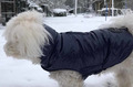 ❤️ Hunter Hundemantel Regenmantel Tampere 35 cm schwarz ❤️ Wettermantel ❤️NEU