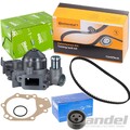 CONTI ZAHNRIEMEN+WASSERPUMPE+SKF ROLLE passend für RENAULT 1.2 D7F TWINGO CLIO