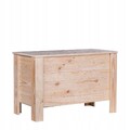 Gartenbox Holzkiste Gartentruhe Auflagenbox Aufbewahrungsbox Kiefernholz 90 L