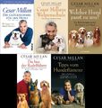 Cesar Millan Set (Hundeflüsterer, Hundeerziehung, Hundetraining, Hundepflege)