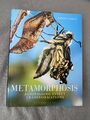 Metamorphose: Erstaunliche Insektentransformationen