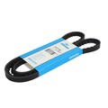 Keilrippenriemen DAYCO 13A1150C