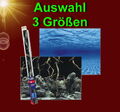2-seitige !! Poster ❤️ RÜCKWANDFOLIE ❤️ Aquarium Deko Fotorückwand Hintergrund
