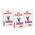 ROYAL CANIN Renal Feline Gemischte Auswahl 36 x 85 g