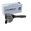 BORGWARNER (BERU) ZÜNDSPULE ZÜNDMODUL passend für AUDI A1 A3 A4 A5 Q2 Q3 CUPRA