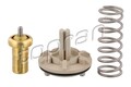 Topran Thermostat, Kühlmittel 113 296 für AUDI SEAT SKODA VW