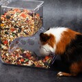  2 Pcs Kleine Tierfutterautomat Automatische Haustierfutterleiterin