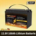 100AH 12V Lithium Batterie LiFePO4 Akku BMS 10000+ Zyklen Wohnmobil Solaranlage