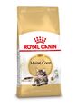 Royal canin maine coon katzenfutter