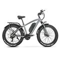 Elektrofahrrad MTB 26 Zoll E-Bike 750W E Mountainbike E-Fahrrad 21-Gänge 45KM/H