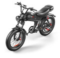 20 Zoll Elektrofahrrad 1000W 48V 20AH große Batterie Mountainbike Fatbike E-bike