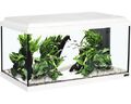 Aquarium aquatlantis Advance 60 mit LED-Beleuchtung, Filter, Heizer ohne Untersc