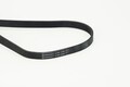 CONTINENTAL CTAM Keilrippenriemen 6PK1590 für VW FORD PEUGEOT OPEL RENAULT AUDI