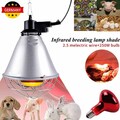 Rotlichtlampe Infrarot Lampe Infrarotstrahler Wärmestrahler Wärmelampe Küken SET