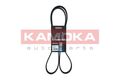 KAMOKA 7016131 Keilrippenriemen für BMW CITROËN  passend für FIAT LANCIA OPEL