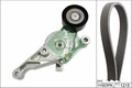 INA Keilrippenriemensatz 529 0462 10 für VW