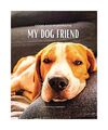 Dogs and Portraits - My Friend Dog: Dog-themed colour photo album. Gift idea for